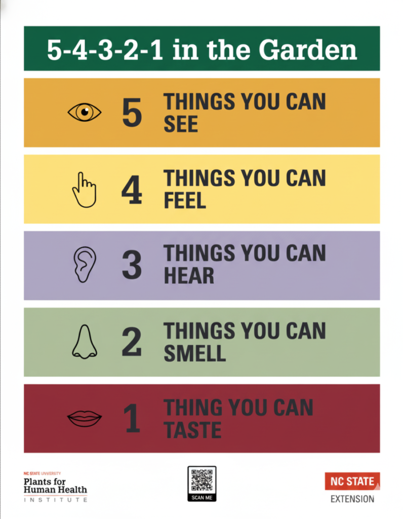 An image of a 54321 steps where 5 says things you can see, 4 says things you can feel, 3 says things you can hear, 2 says things you can smell and 1 says things you can taste