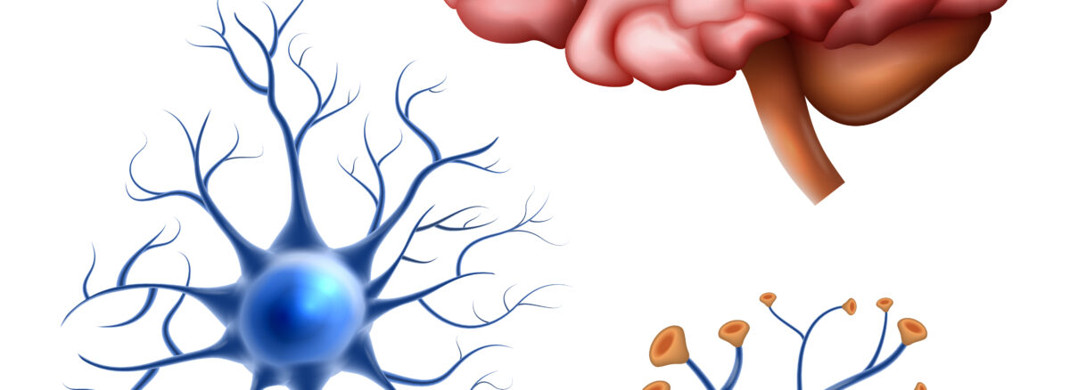 Illustrative representation of a brain and a neurotransmitter