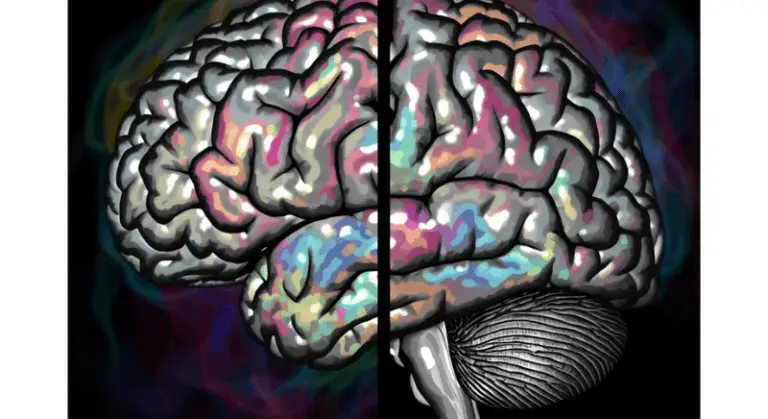 QEEG Brain Mapping vs MRI